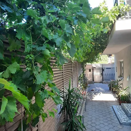 Vacanta Casa de hóspedes 3*