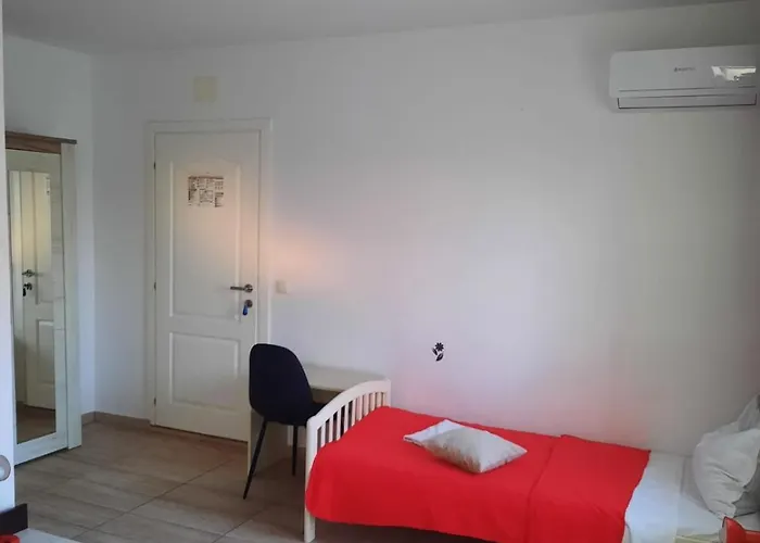 Guest house Vacanta Costinesti