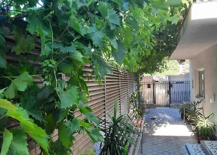 Vacanta Guest house 3*